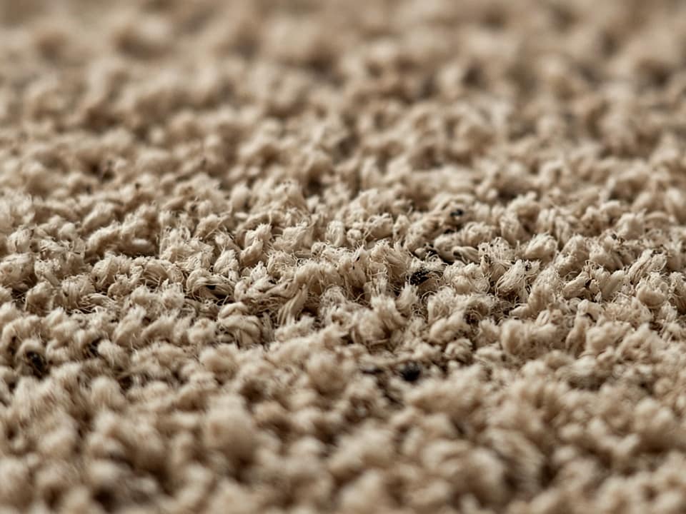 Carpet fibers under magnification, Central New Jersey