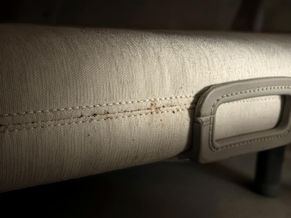 Bed bug signs on a mattress seam, Central New Jersey