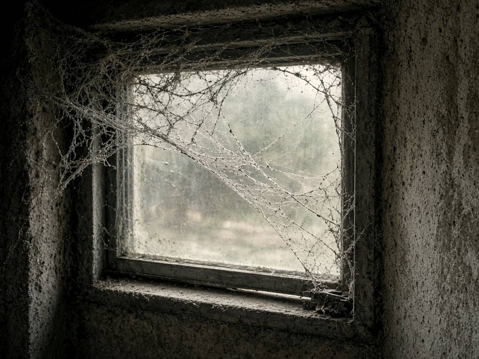 Cobweb in a basement window, Central New Jersey